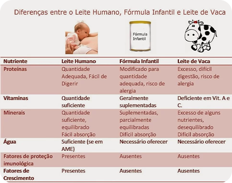 Lacta Mais – Solução Completa para Lactantes